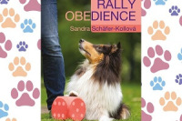 obedience uvod (1)