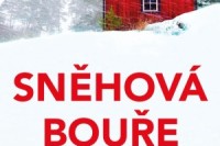 snehova-boure-nahled